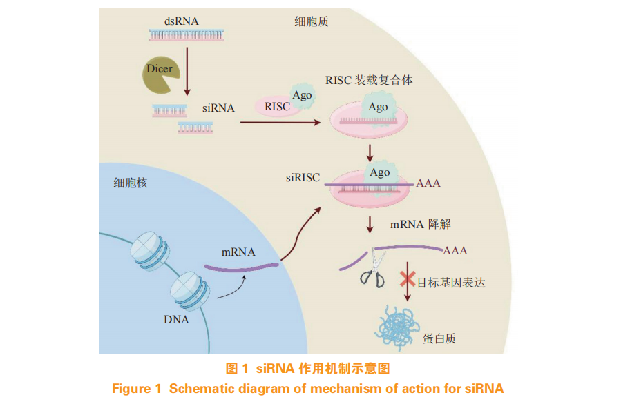 ScreenShot_2026-01-04_102828_229