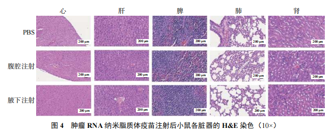 ScreenShot_2026-01-04_102255_144