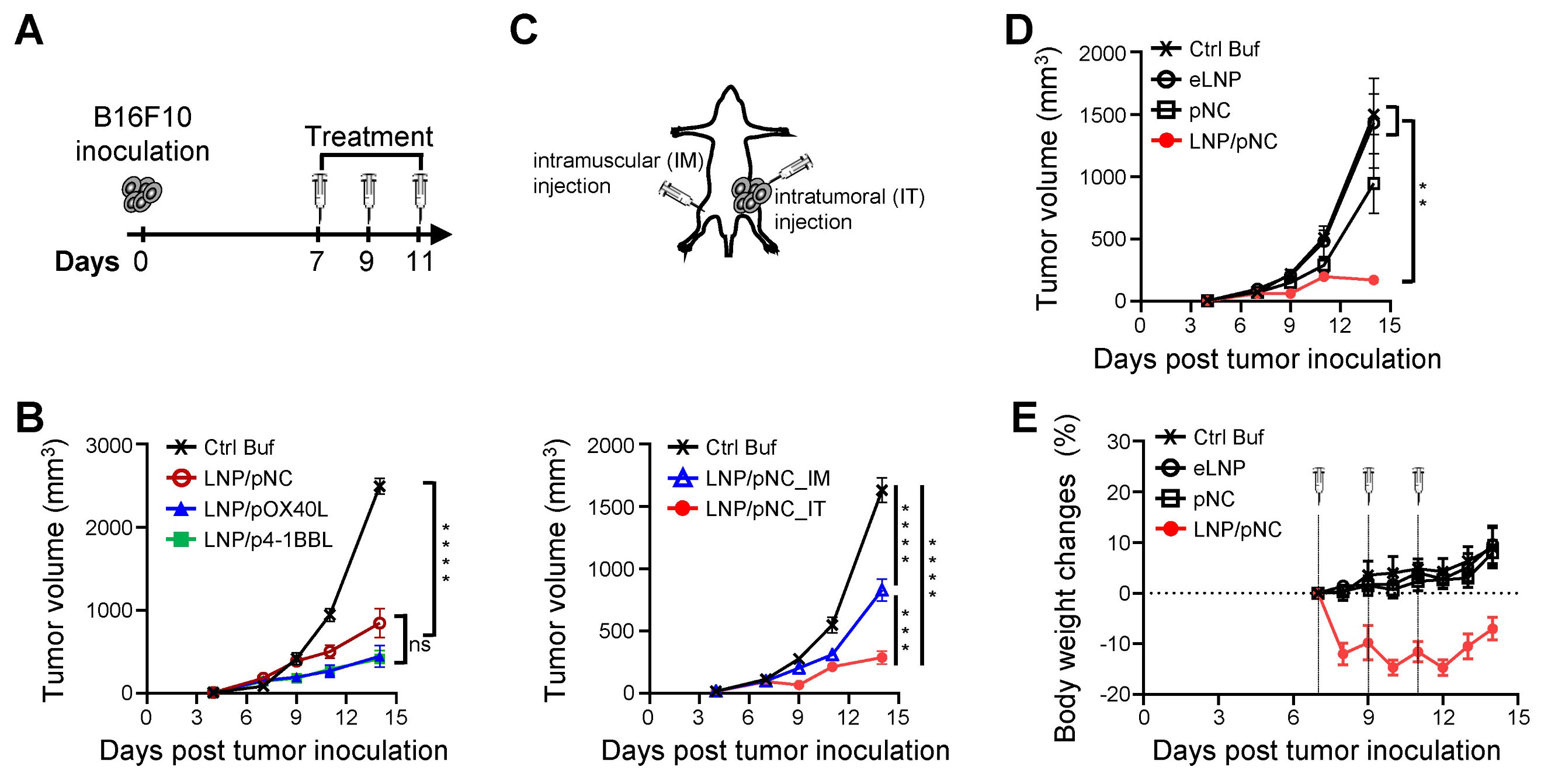中新康明助力癌症免疫治疗新突破：LNPs平台展现强大潜力，CDMO服务全面赋能研发转化