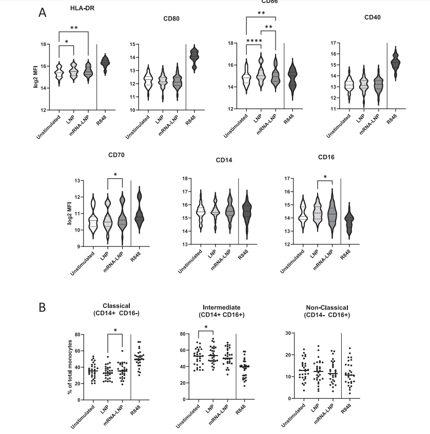 ScreenShot_2026-01-05_142947_762