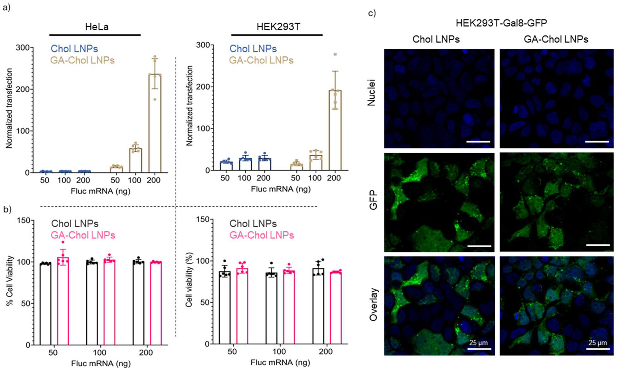 GA-Chol LNP GA-Chol LNP