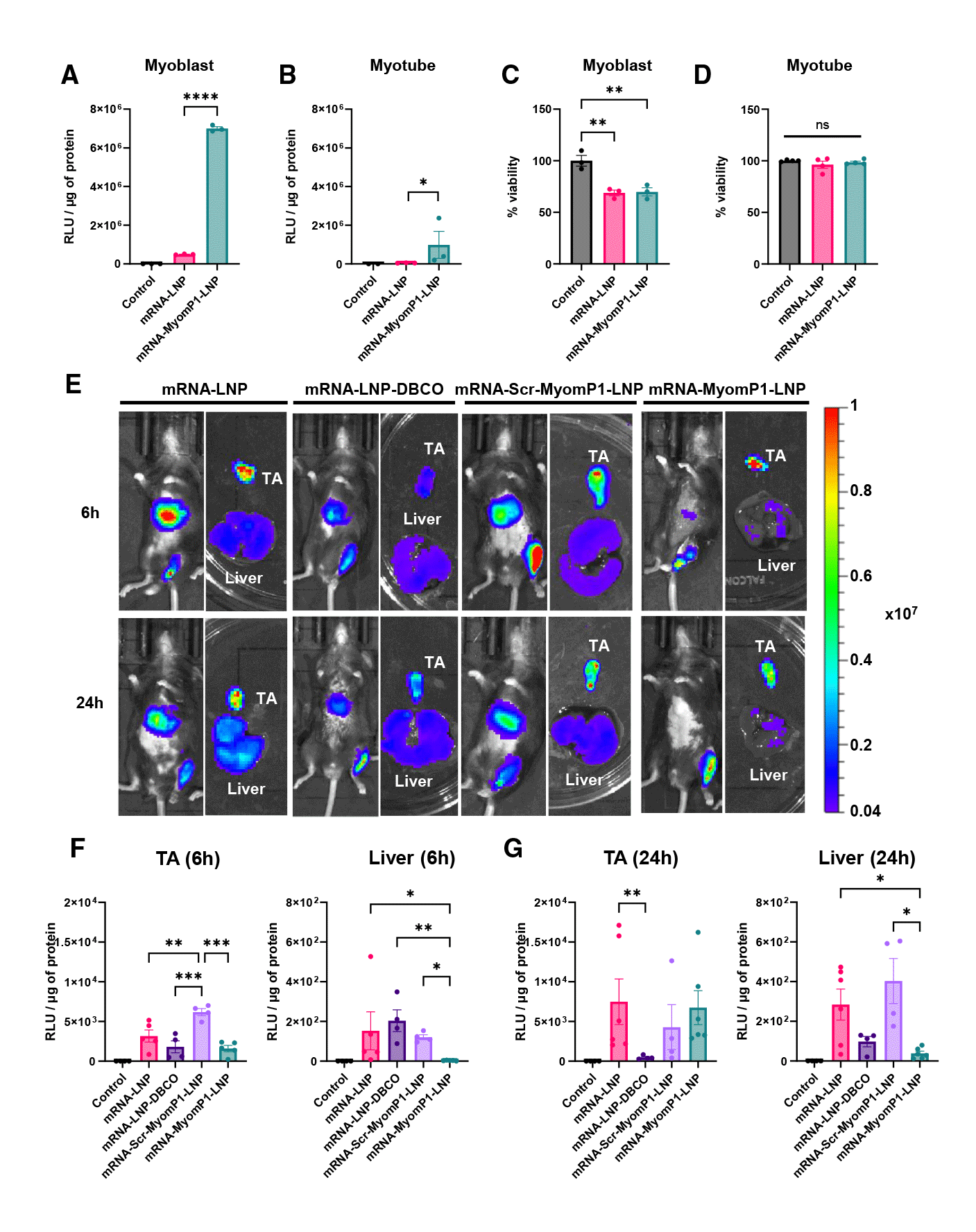 中新康明 中新康明
