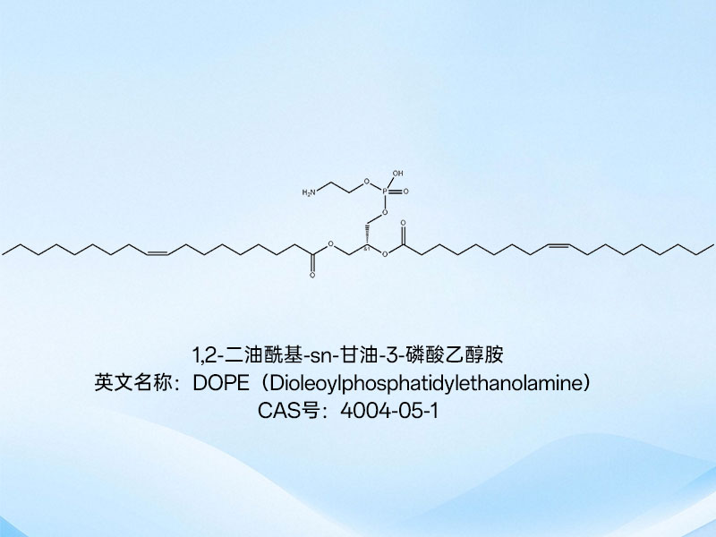 脂质纳米粒 脂质纳米粒