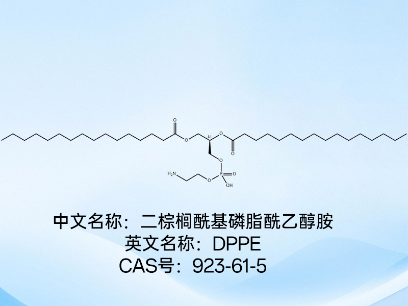 阳离子脂质体 阳离子脂质体