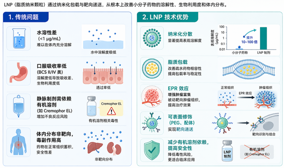 LNP 解决小分子溶解度问题