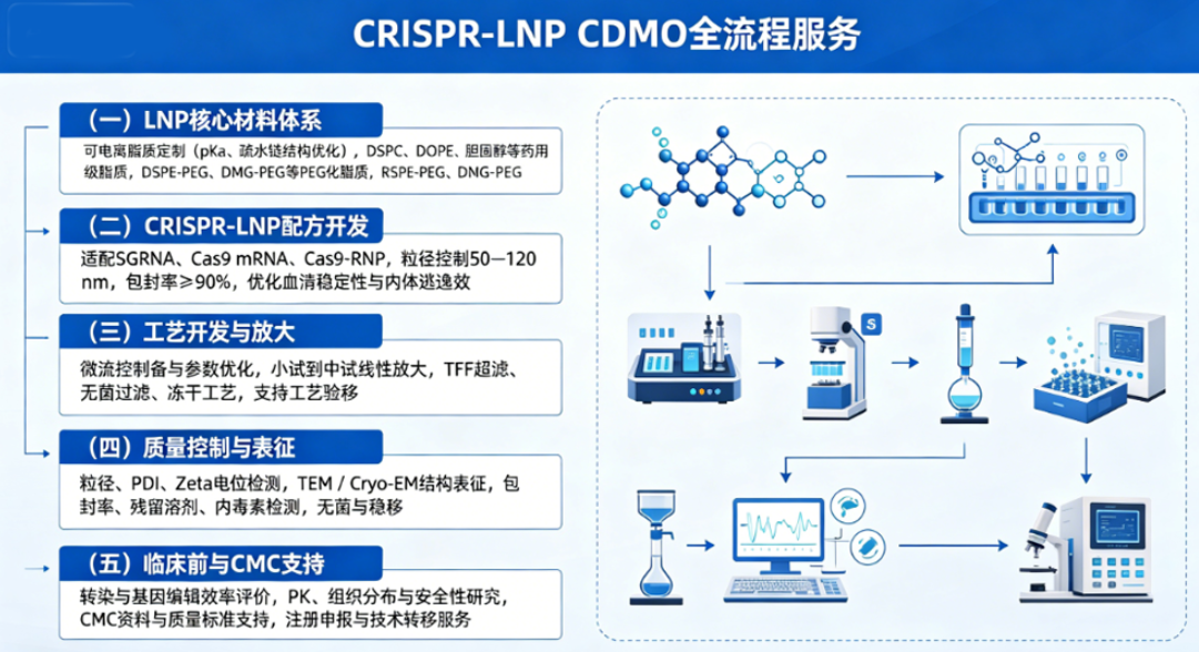 中新康明 CRISPR-LNP CDMO 全流程服务