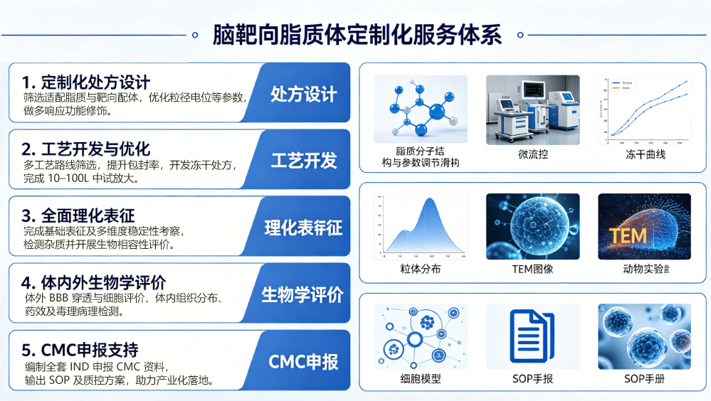 核心服务内容 核心服务内容
