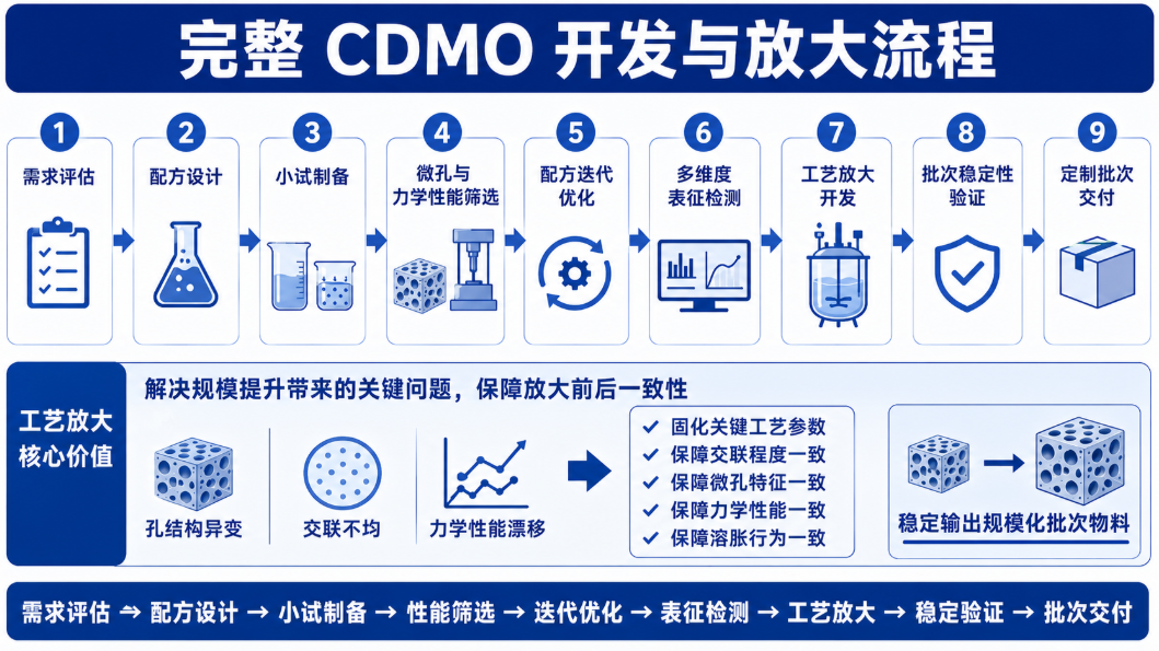完整 CDMO 开发与放大流程 完整 CDMO 开发与放大流程