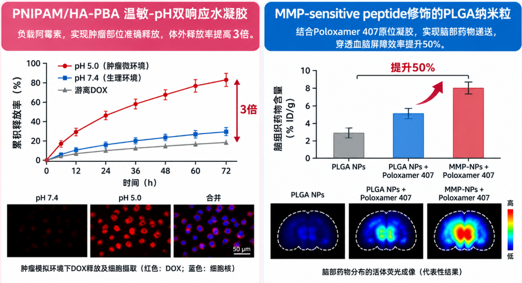 PNIPAM/HA-PBA温敏-pH双响应水凝胶,负载阿霉素 PNIPAM/HA-PBA温敏-pH双响应水凝胶,负载阿霉素