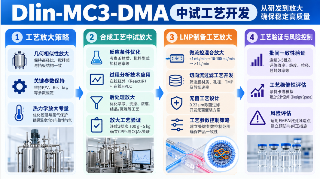中试工艺开发