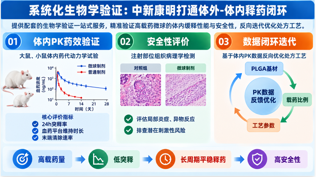 系统化生物学验证:中新康明打通体外-体内释药闭环 系统化生物学验证:中新康明打通体外-体内释药闭环