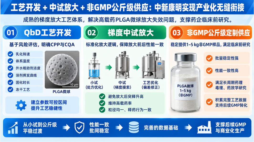 工艺开发+中试放大+非GMP公斤级供应:中新康明实现产业化无缝衔接 工艺开发+中试放大+非GMP公斤级供应:中新康明实现产业化无缝衔接