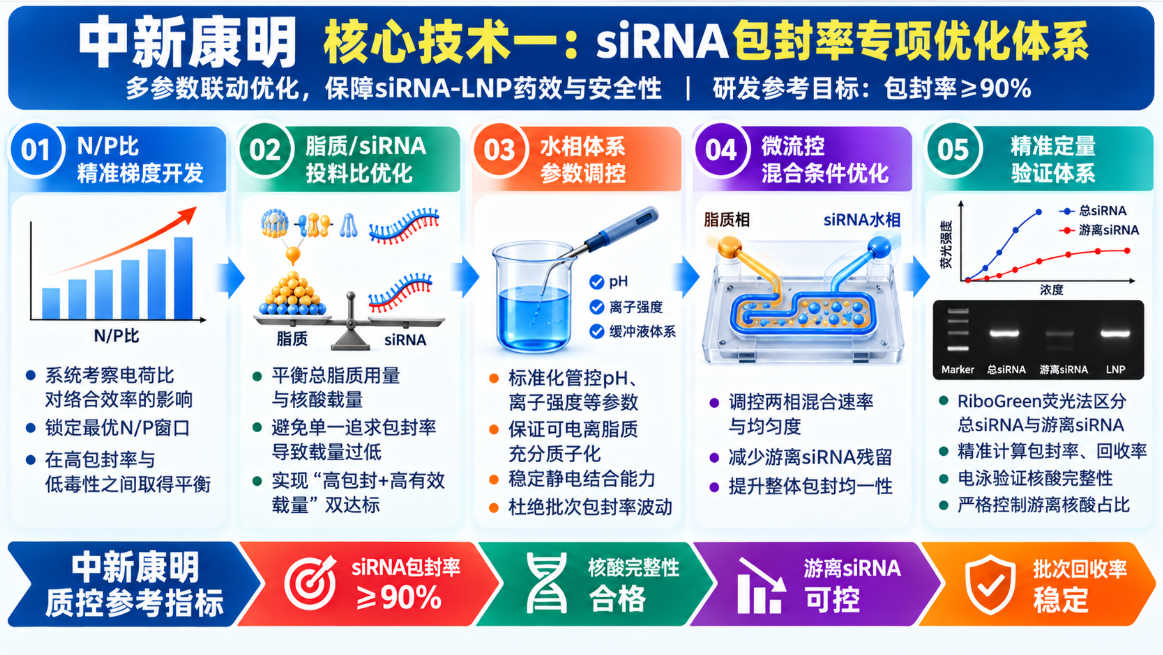 中新康明核心技术一：siRNA包封率专项优化体系