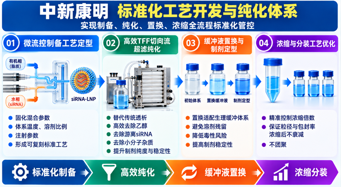 中新康明标准化工艺开发与纯化体系