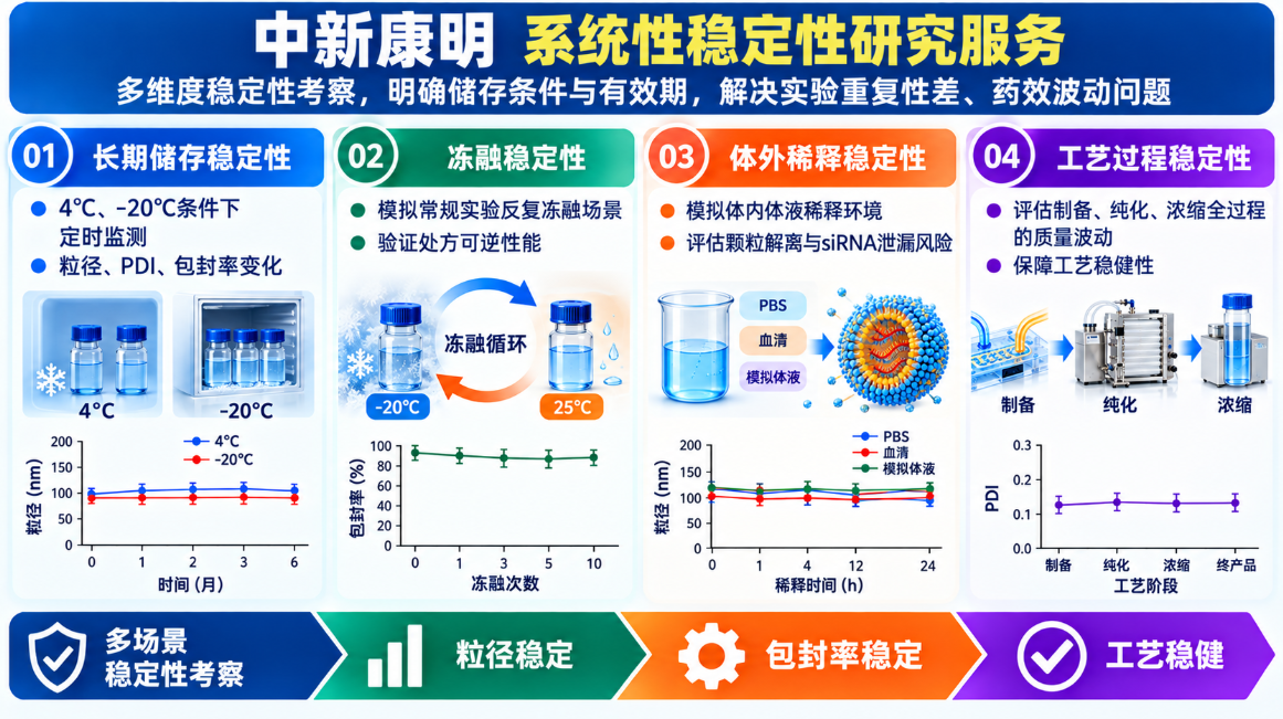 中新康明系统性稳定性研究服务