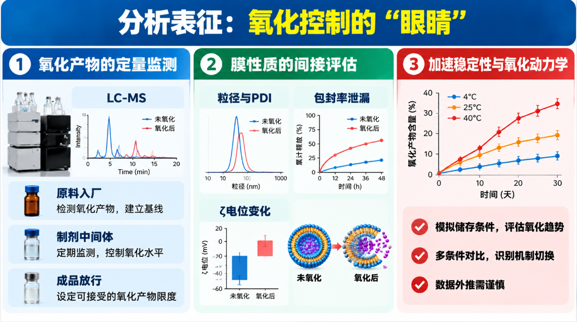 分析表征:氧化控制的“眼睛” 分析表征:氧化控制的“眼睛”