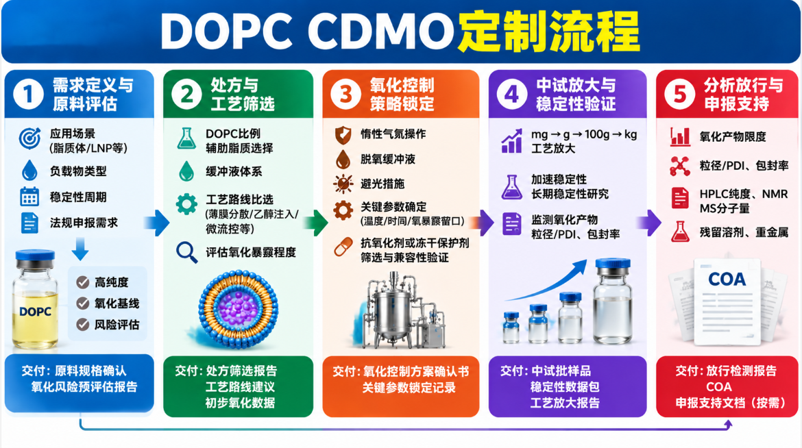 DOPC CDMO定制流程 DOPC CDMO定制流程