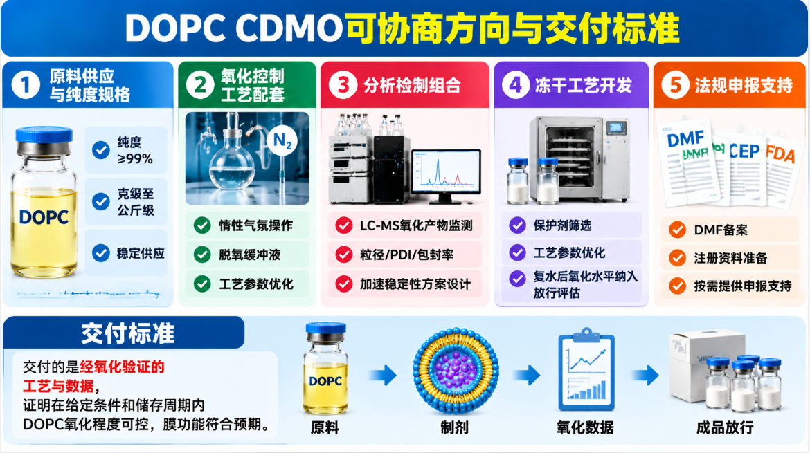 可协商方向与交付标准 可协商方向与交付标准